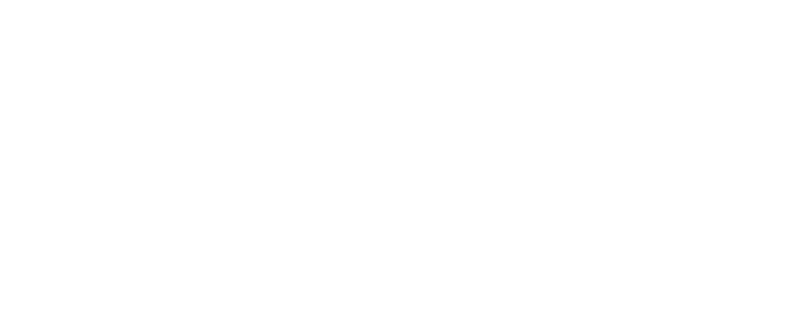 arenas academy